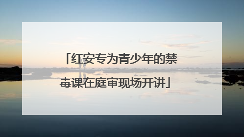红安专为青少年的禁毒课在庭审现场开讲